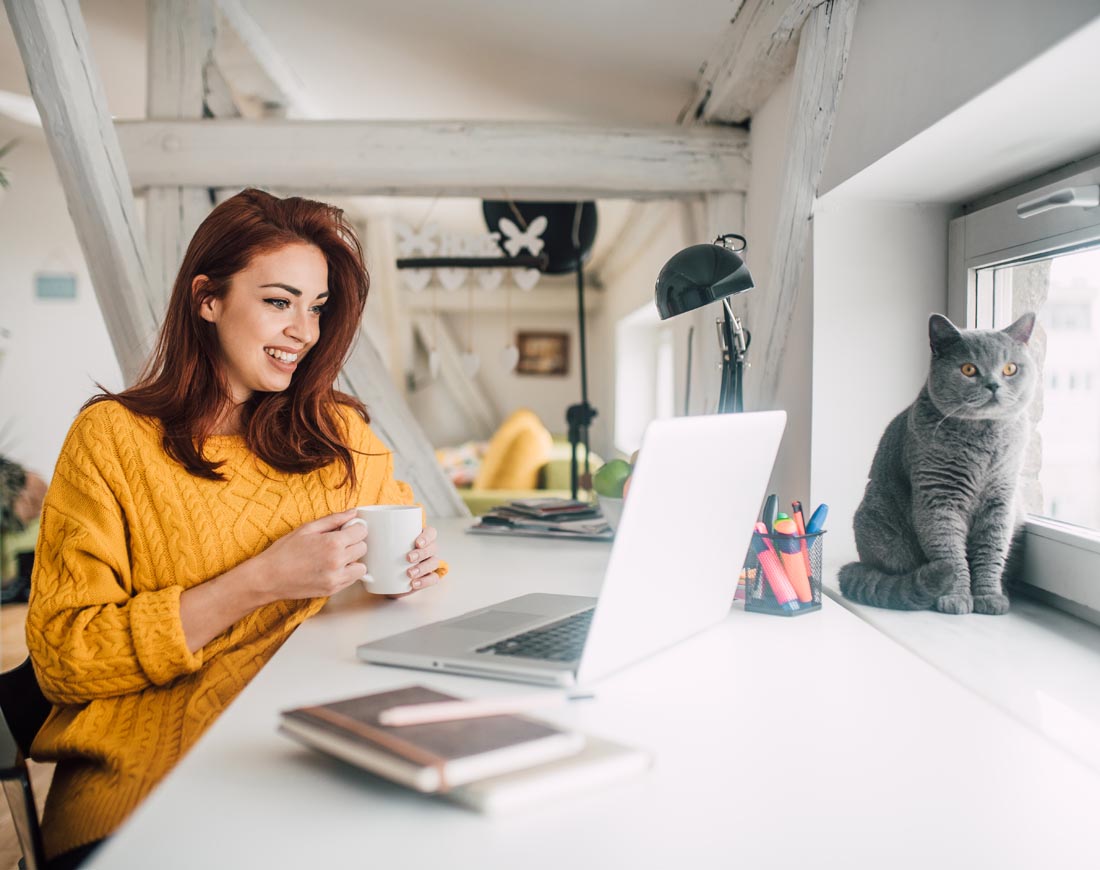 Eine Frau sitzt mit einer Tasse in der Hand am heimischen Schreibtisch und schaut auf ihren Laptop, ihre Katze hockt am Fenster