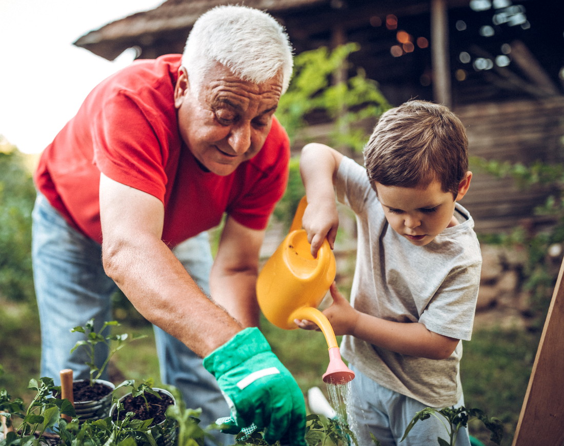 Großvater und Enkel gießen Setzlinge im Garten