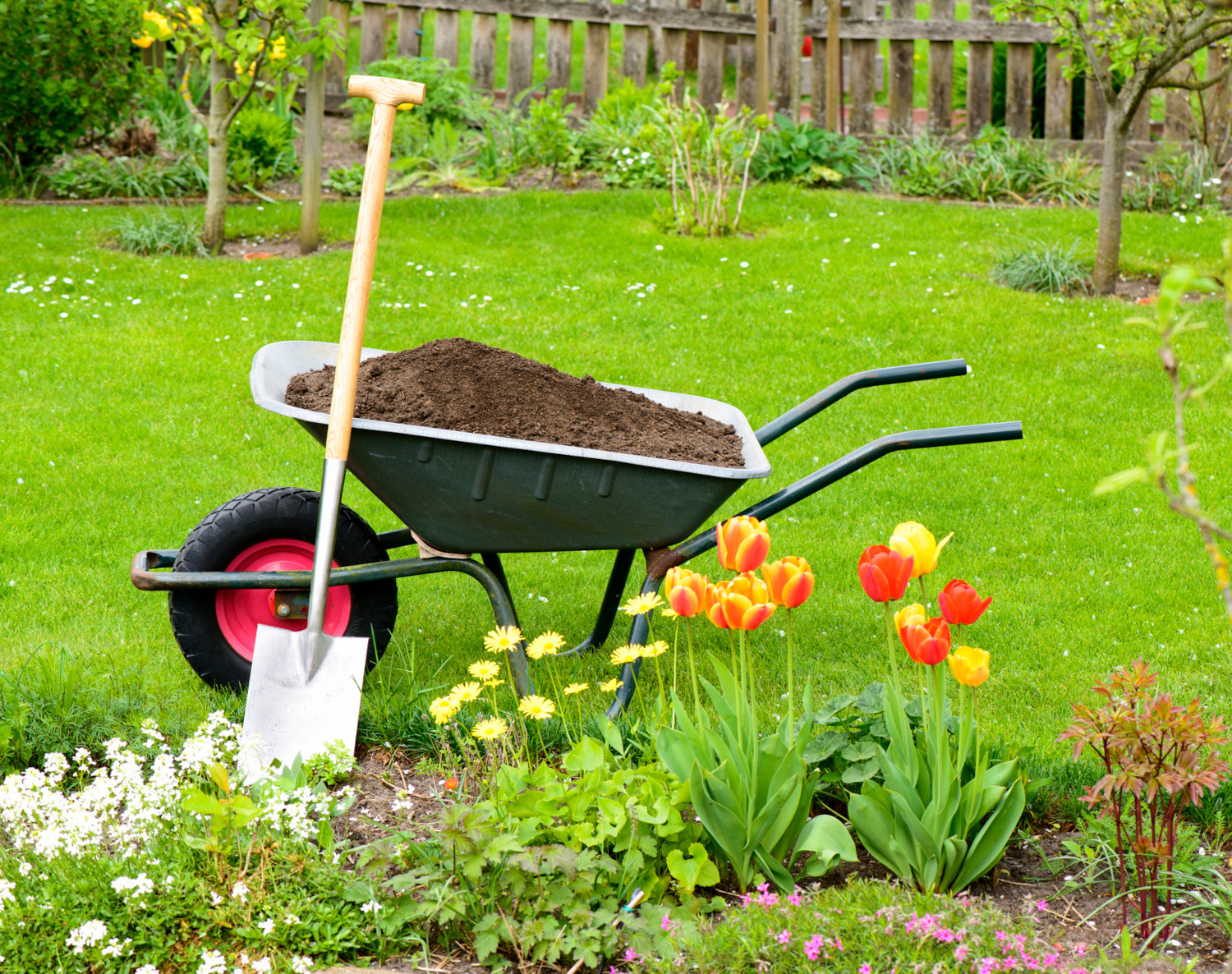 Eine mit Erde beladene Schubkarre mit angelehntem Spaten steht auf einer Rasenfläche inmitten eines Obst- und Blumengartens