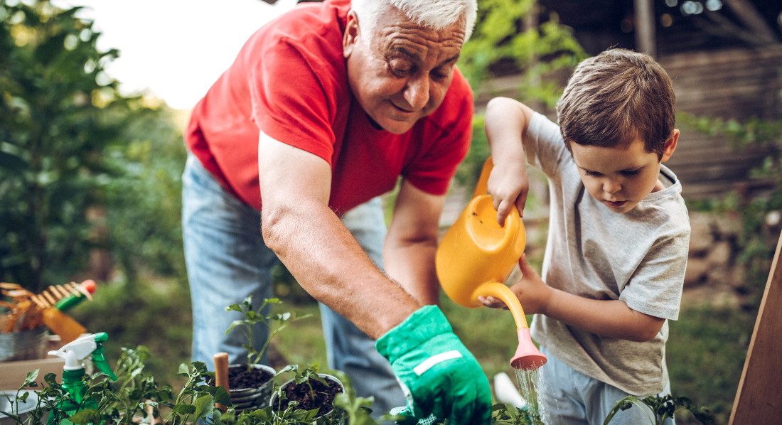 Großvater und Enkel gießen Setzlinge im Garten