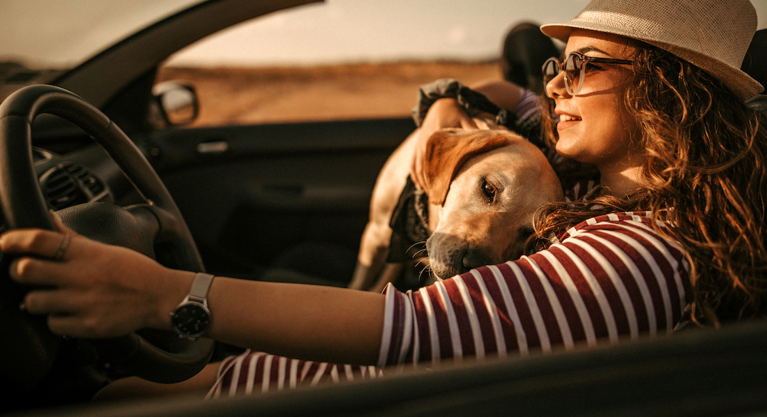 Eine junge Frau fährt an einem sonnigen Tag mit ihrem Hund in einem offenen Leasing-Auto