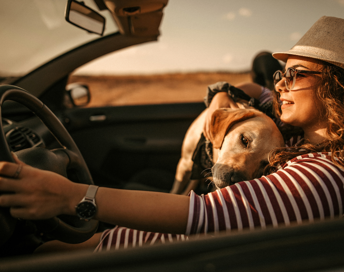 Eine junge Frau fährt an einem sonnigen Tag mit ihrem Hund in einem offenen Leasing-Auto