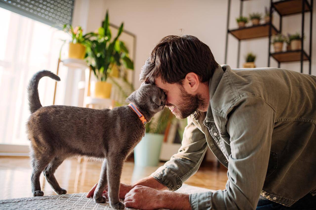 Eine Katze schmiegt sich an ihren Besitzer, der sich darüber und über die Katzenversicherung freut