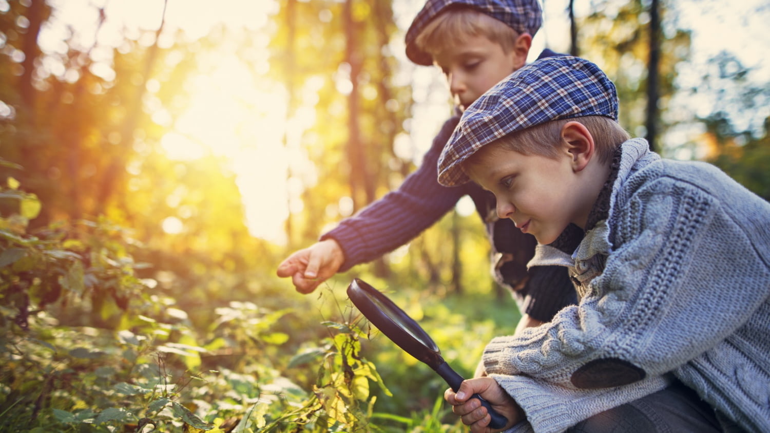 Zwei kleine Jungen inspizieren mit einer Lupe Pflanzen im Wald
