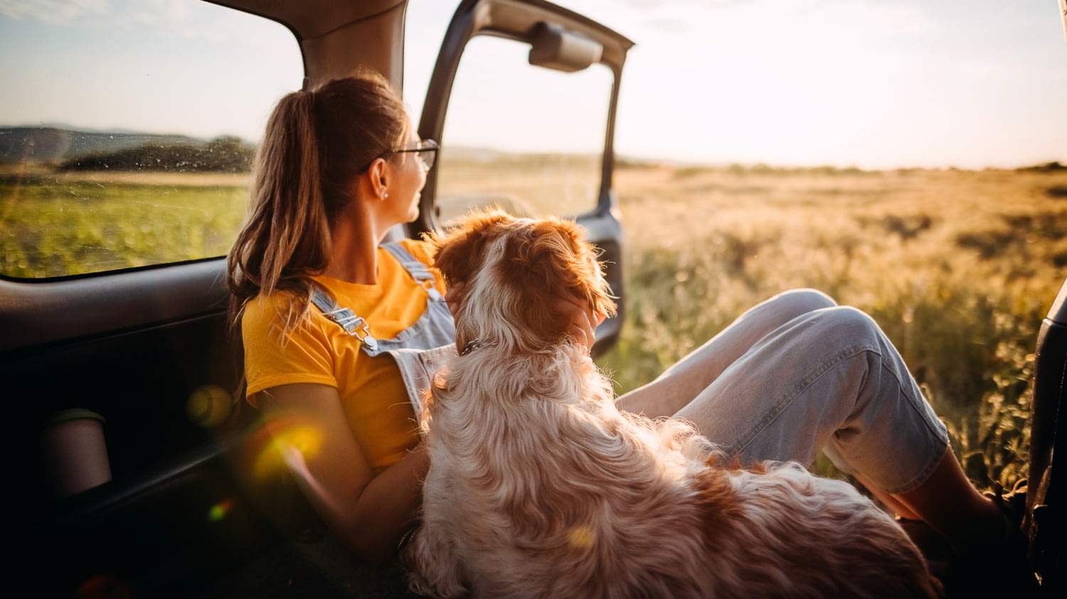 Eine Frau sitzt mit ihrem Hund im Auto und schaut auf ein Feld