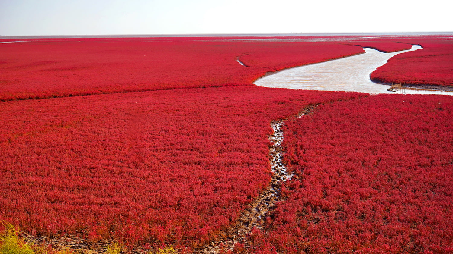 Fluss durchzieht rot gefärbte Landschaft
