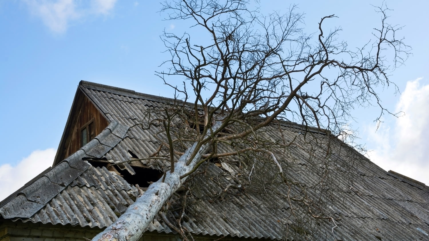 Ein umgestürzter Baum ist auf ein Dach gefallen und hat ein Loch hineingerissen