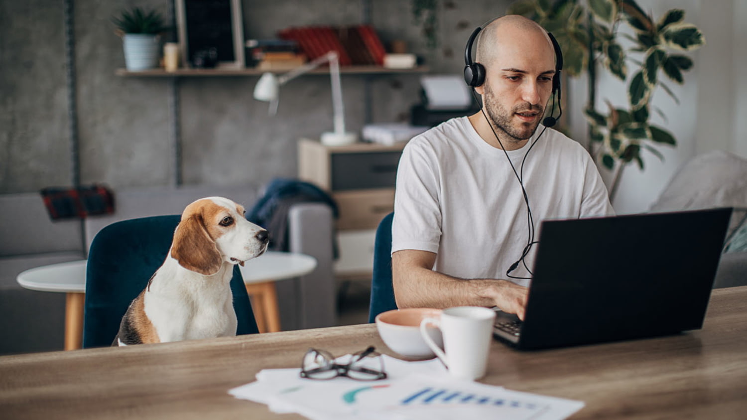 Mann mit Kopfhörern tippt in sein Laptop, neben ihm sitzt sein Hund